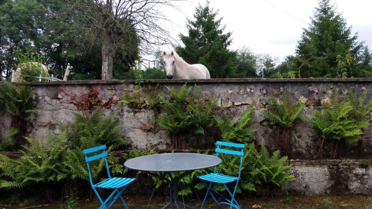Les Anniquins Villa Ivoy-le-Pré Buitenkant foto